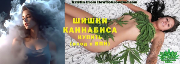 трава Покачи