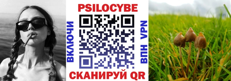MEGA как войти  Феодосия  Галлюциногенные грибы Cubensis 
